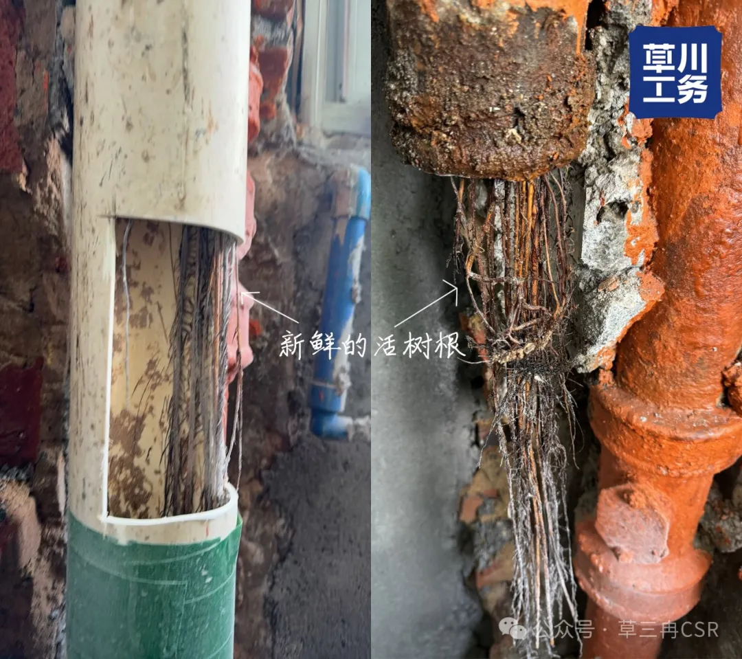 草川工务 | 工地填坑日记 001