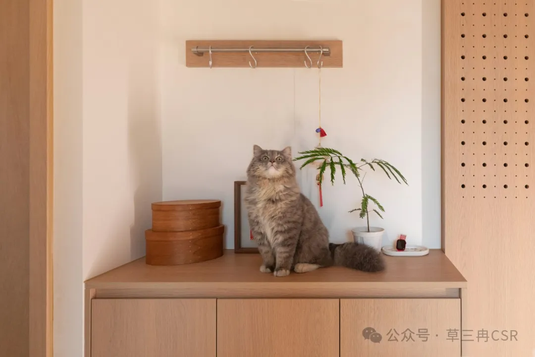 案例改造|繁华都市中心，拥有一个日剧小家的安全感